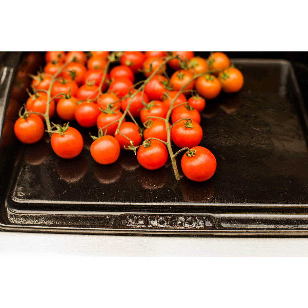 Napoleon 56090 Plancha