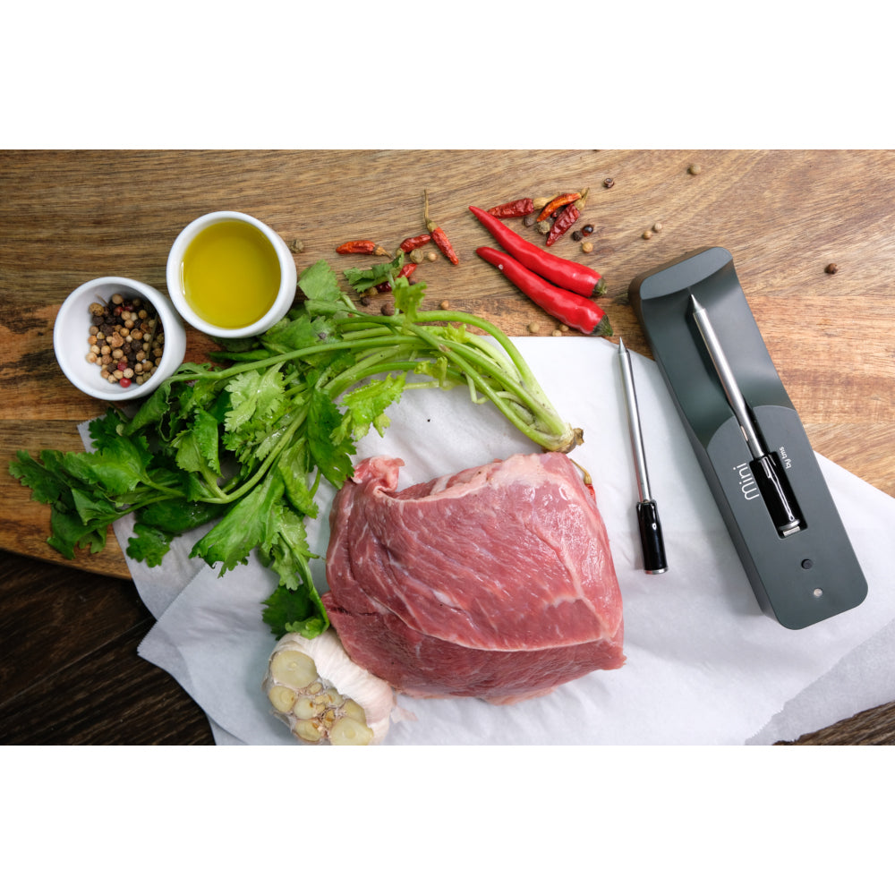 The MeatStick Mini by TMS